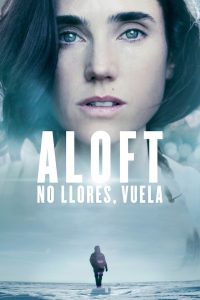 Aloft 2014 DVDR R1 NTSC Latino